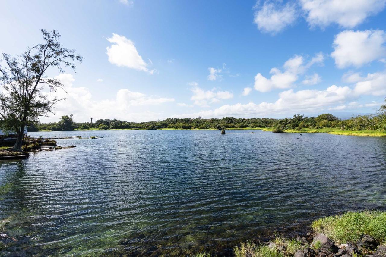 With Pool Steps From Carlsmith Park * Hilo